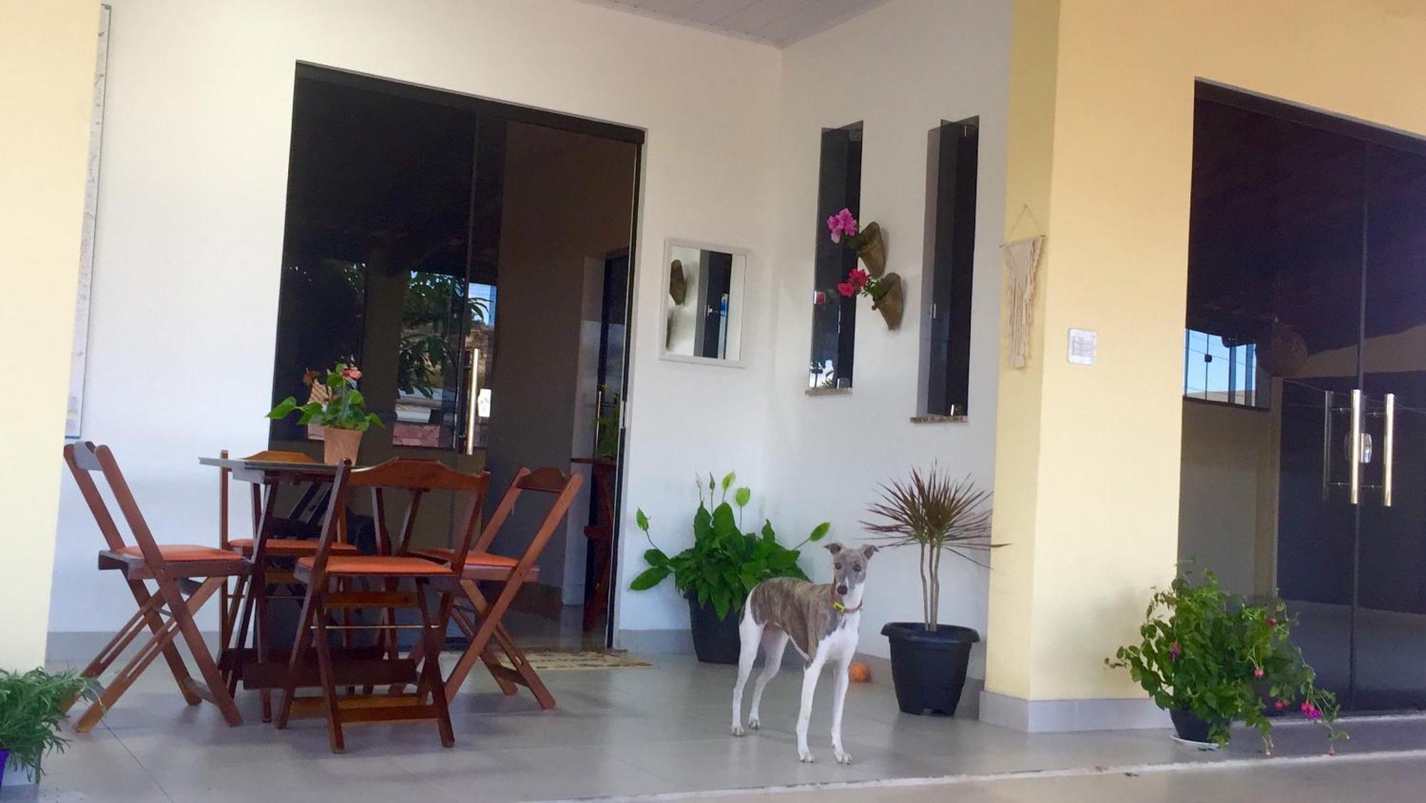 Pe De Manga Hospedagem Mucuge Ngoại thất bức ảnh